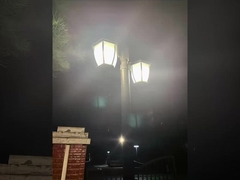কোথায় আপনি Courtyard Lights দেখতে পারেন? পার্ক বা আবাসিক এলাকা