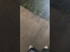 অবিশ্বাস্য! দেখুন বাগানের জন্য লন ল্যাম্প।