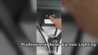 রাস্তায় ব্যবহৃত 5 বছরের ওয়ারেন্টি সহ 50W সোলার গার্ডেন লাইট নতুন ডিজাইনের IP66।